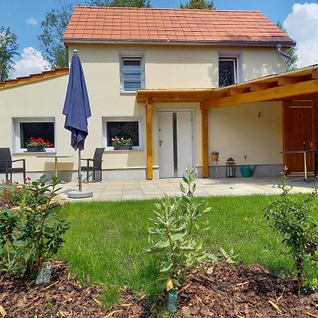 Ferienhaus Richtermuehle Sebnitz Eksteriør billede
