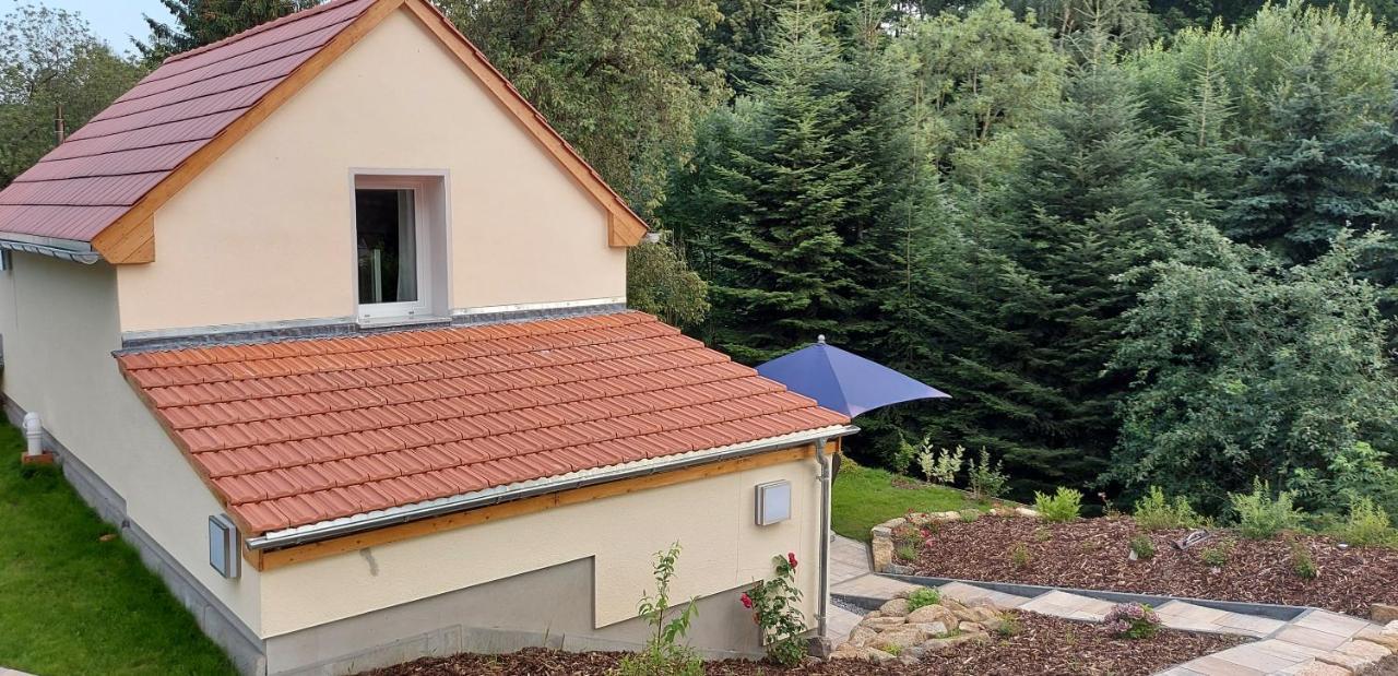Ferienhaus Richtermuehle Sebnitz Eksteriør billede