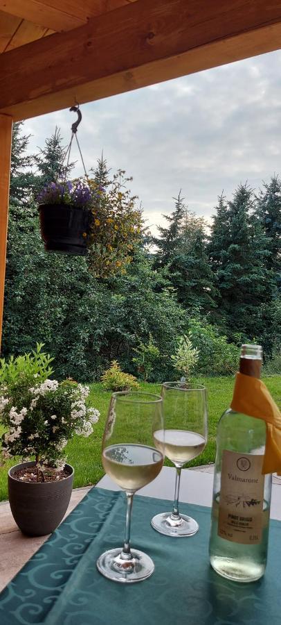 Ferienhaus Richtermuehle Sebnitz Eksteriør billede